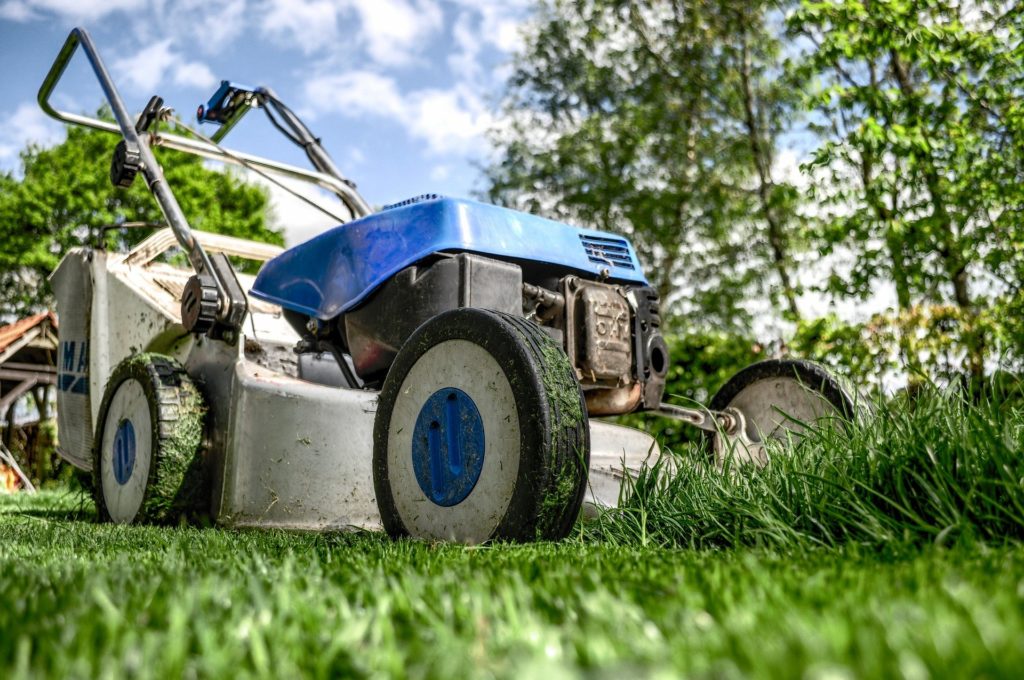 Lawn care tips for lawns in Australia