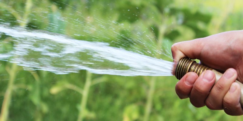 the proper way to water your lawns