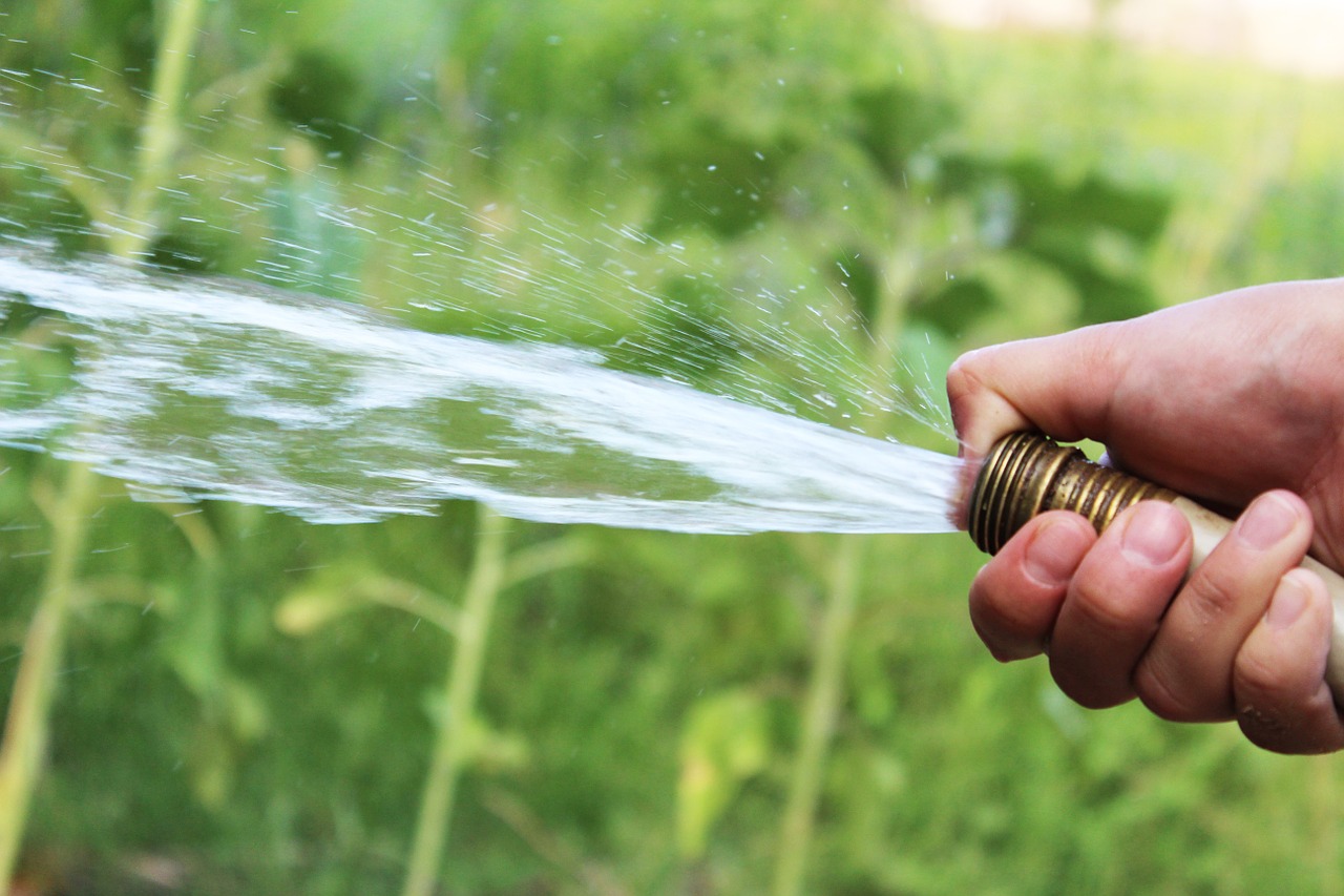 the proper way to water your lawns