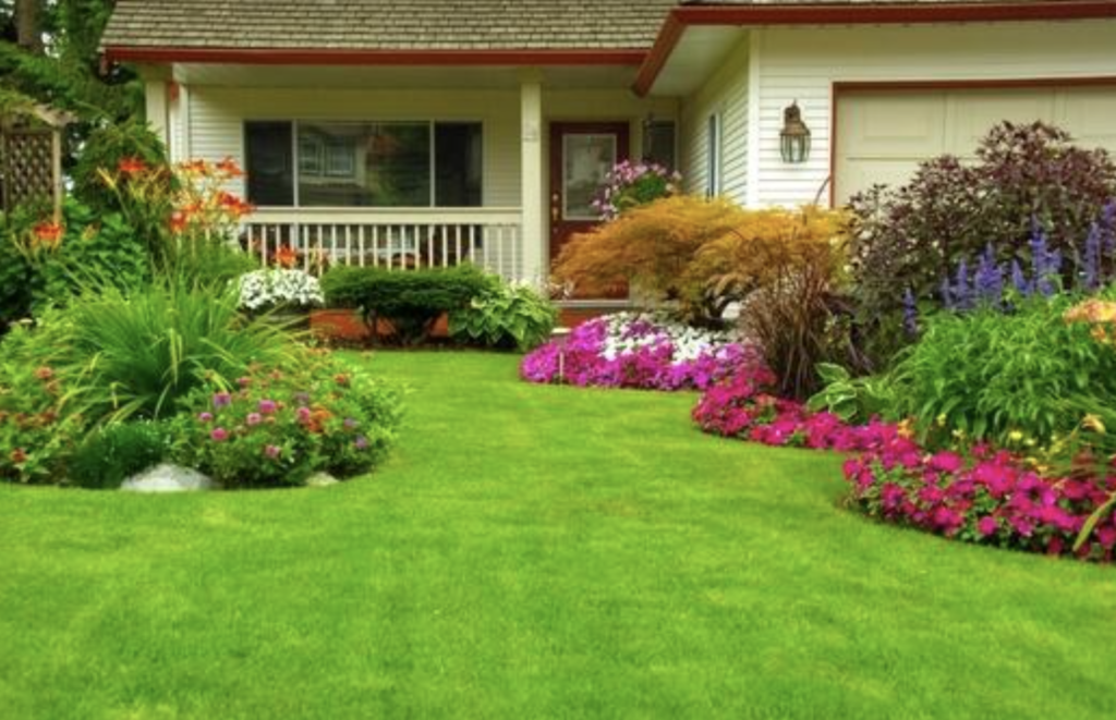 Tidy garden