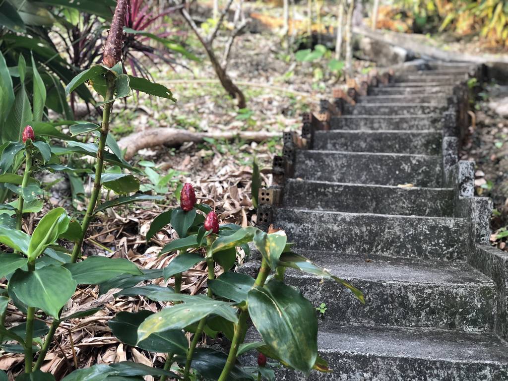 Ancient steps in the jungle of Thailand on a Sunny day, a bottom-up view