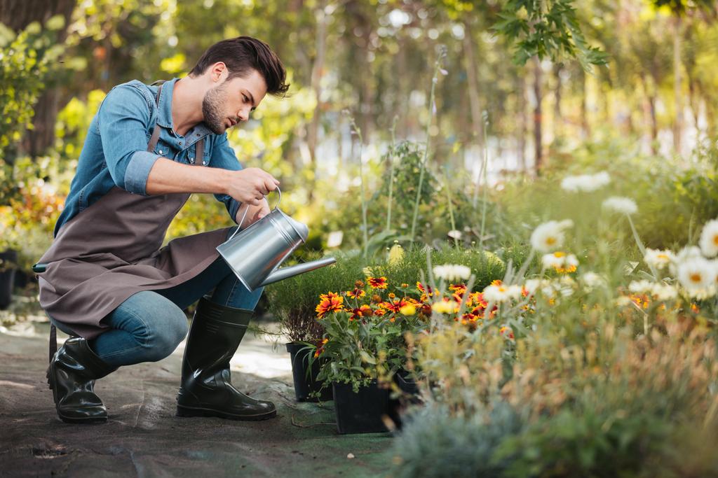 Gardener watering plants