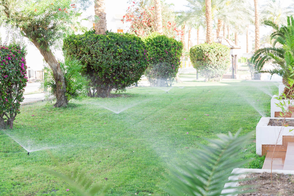 Sprinkler in garden watering the lawn. Automatic watering lawns concept